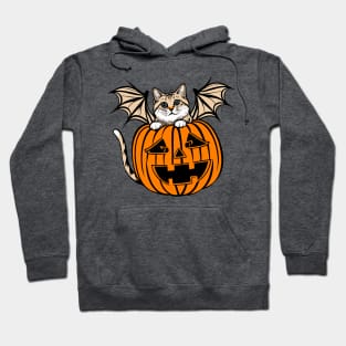 Cute Creepy Cat With Bat Wings In A Jack O Lantern Funny Halloween Hoodie